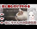 【つぐのひ ねこのひ怪奇譚】左に進むだけでわかるねこちゃんのお散歩生活【真白ゆゆ #Vtuber】