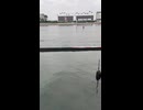 浜名湖ボートレース場の第12レース（最終レース）［2026年6月16日］