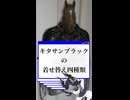キタサンブラックのフォトハンガーに服を着せてみる