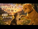 シャーロットの冒険 #01 迷子の子猫