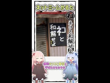 【旧作】ネットミームかるた#24「ネコと和解せよ」