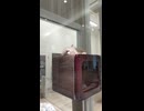 猫が寝てる：A cat is sleeping