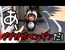 ググガガペンギンの日常