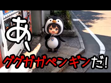ググガガペンギンの日常