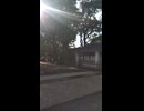 代々木公園：Yoyogi Park