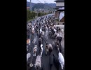 猫百匹！？