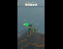 【ティアキン】ダルマー湖のマグロック　ゼルダの伝説ティアーズ オブザキングダムNintendo Switch 2 Edition