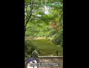 【お写んぽ！！】嵐山 大河内山荘庭園と奥嵯峨 祇王寺の初夏の緑！！