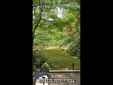 【お写んぽ！！】嵐山 大河内山荘庭園と奥嵯峨 祇王寺の初夏の緑！！
