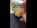 寝る前のルーティンが完全に職務質問で草ｗ