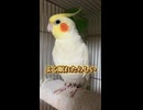 【閲覧注意】朝からハチヲが全開で愛を語ってきたｗ