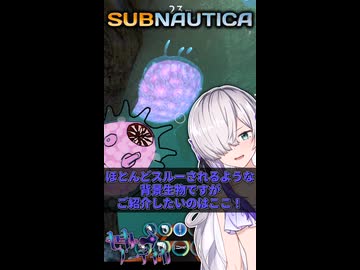 サブノペディアpart4「フローター」