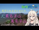 【第2回栃木旅行祭】見守られる子どもたち・大真名子山・小真名子山【リアル登山アタック】