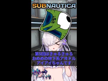 サブノペディアpart5「アイアイ」