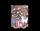 見て