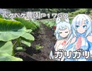 2026年6月18日　日記1760　昨日の日記の続きと、何をしたのかな？