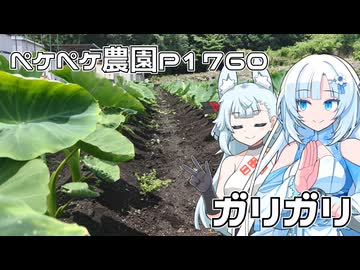 2026年6月18日　日記1760　昨日の日記の続きと、何をしたのかな？