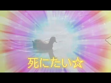 ４２たい☆ － 初音ミク,重音テト,可不