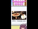 東北きりたんと手短に学ぶ毒キノコ解説：カキシメジ