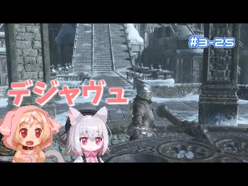 【Darksouls3】一度使った物は次作以降使用禁止 Part3-25