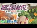 【栃木旅行祭】電波の立たない山奥で温泉と自然を堪能する。【結月ゆかり】