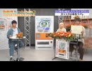 自動販売機に生まれ変わった俺は迷宮を彷徨う 2nd season　放送記念特番　2025年06月25日放送