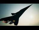 【Ace Combat 7】空で遊ぶ#1