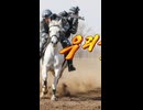 北朝鮮の歌：私たちの国旗