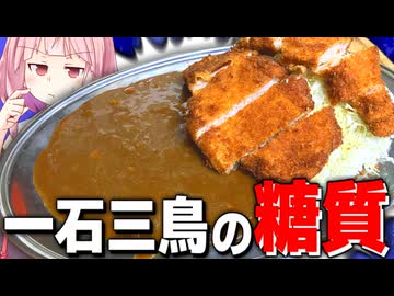 【糖質の鬼】人生初のカツカレーのお味は思っていたより刺激的だった？【VOICEROIDキッチン＋生声】