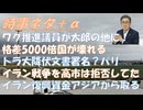 ワクチン推進議員の詭弁「反対なら根拠を示せ、それは根拠になっていない」ｂｙとかしかなおみ議員！トラ大降伏文書に署名（と表現される）inベルサイユ！トラ大の最ファンだが戦争には非協力【アラ還・読書中毒】
