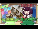 東北家の20世紀探検隊 FILE19【昆虫採集】