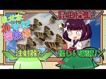 東北家の20世紀探検隊 FILE19【昆虫採集】