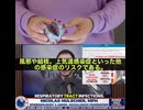 韓国5160万人全国民調査で衝撃結果　4回接種で感染症リスク最大550%上昇　子供の風邪リスク559%増