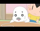 小3アシベ QQゴマちゃん　第11話　アザラシのヒモ