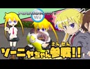 ソーニャカートWii