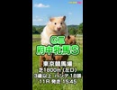 【馬番発表後2番目位に早い競馬予想】ＧⅠ #府中牝馬S□AIみかん 予想担当は栽培マン Cocoんco きのこの推奨馬3頭で好配当的中目指します《#競馬楽部LOVE》通算Vol.436