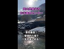 １年中釣りができる！岡山にある右手養魚センターは最高の釣り場！