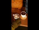 キメラテ・コーヒースタンド