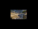 【WoT】人気者で辛い
