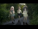 why, or why not / 安社不実。(cover)