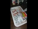 YMDD_516　イオン＿ザ・ビッグ：ボイルいか耳スライス（生食用）
