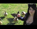 Duck JWOW!!