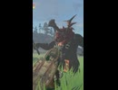 【ティアキン】ラブラー丘のライネル　ゼルダの伝説ティアーズ オブ ザ キングダムNintendo Switch 2 Edition