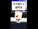 【黒い砂漠】雪大福マン遁甲書