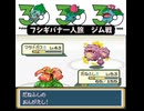 S【ポケモンFRLG】フシギバナ一人旅 VSジム【Switch】