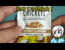 半額の昆虫食があったので初めて食べてみました