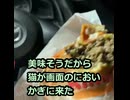 （ショート）アルファキング・イエティ ザ・ワンパウンダー