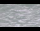どこかへ / 名前シレズ