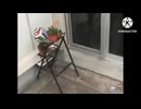 サッカーボールに割られる植木鉢くん