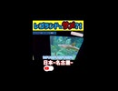 なんでレゴランドに本物のサメが？！